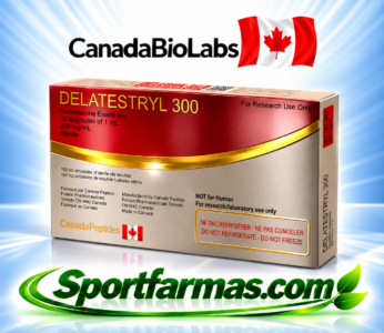 Testesterone enantate – ტესტესტერონ ენანთატი 300 1ml 10Ampoule